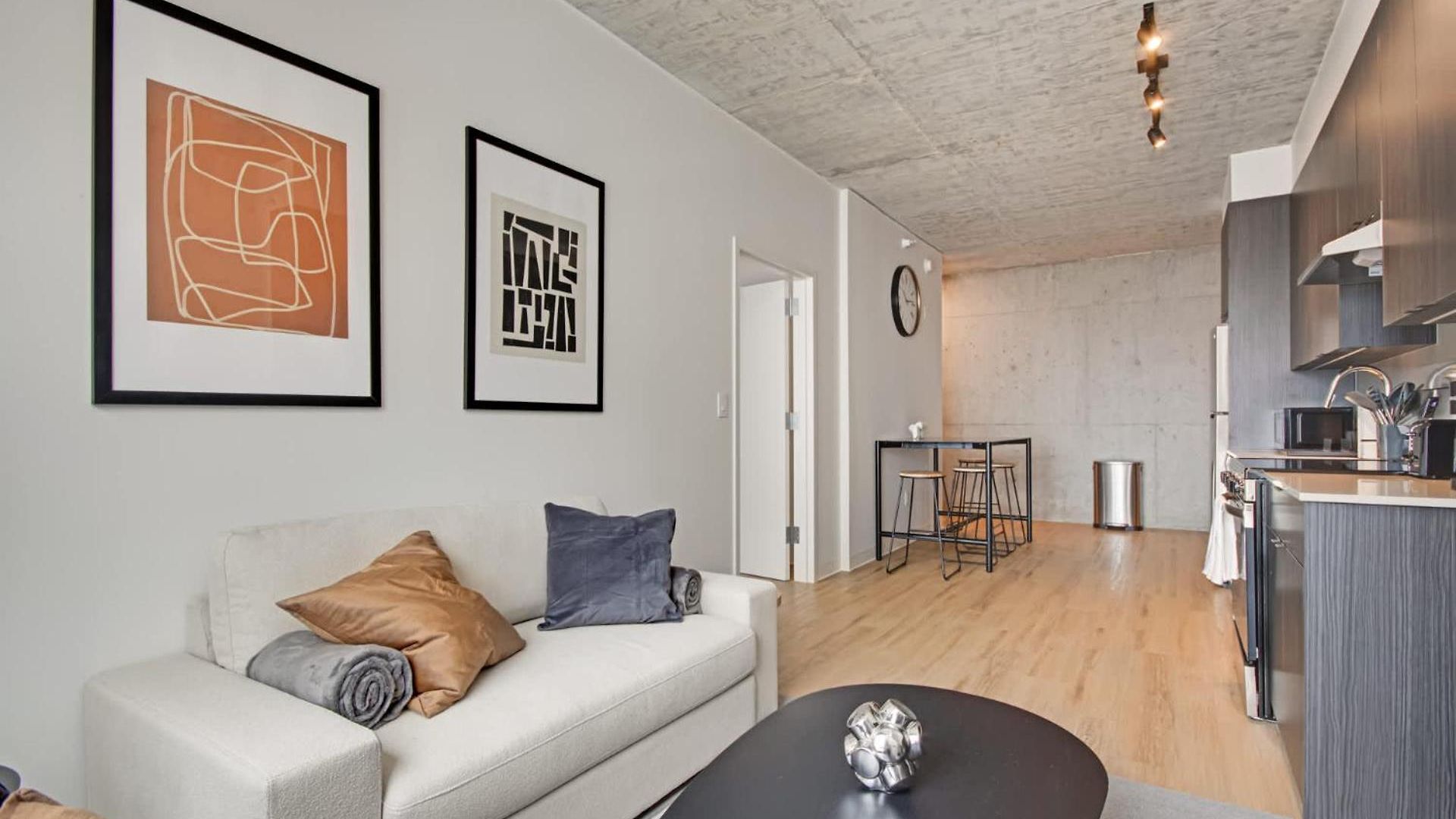 South Loop Rooftop With In & Out Parking 1 Apartment Chicago