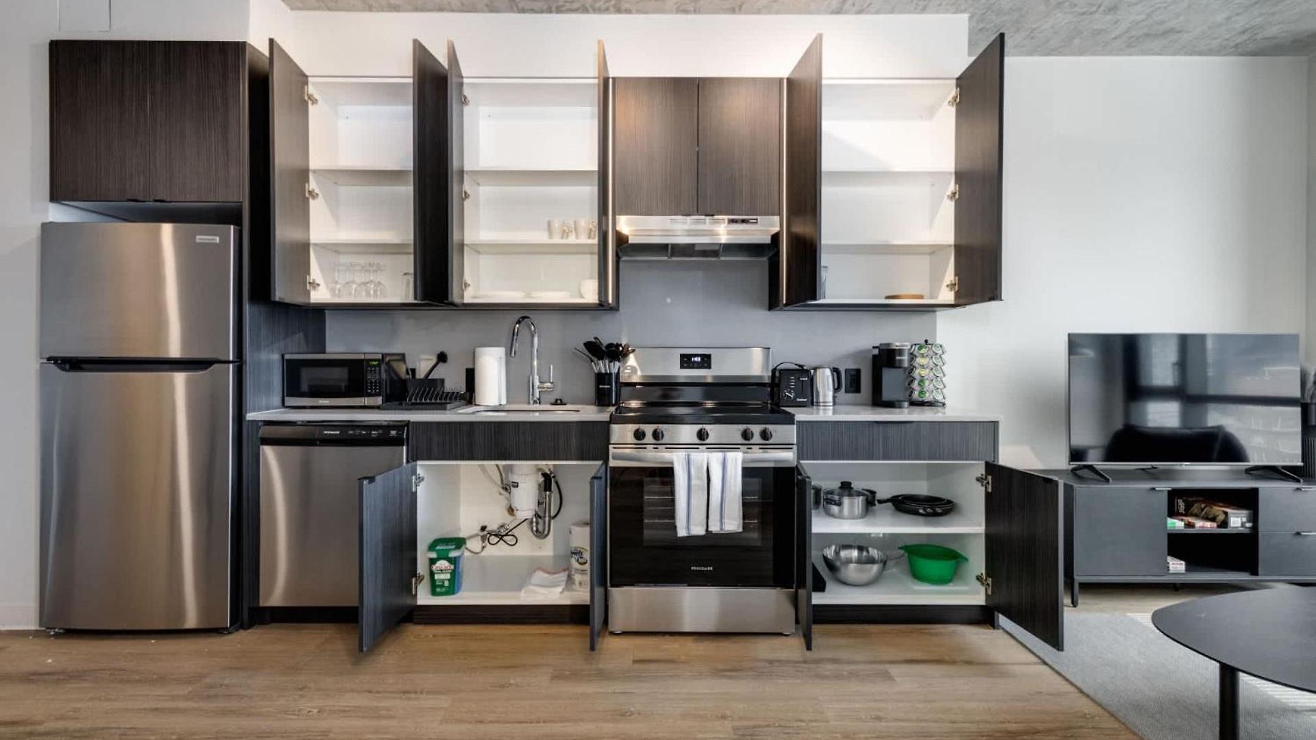 South Loop Rooftop With In And Out Parking 2 Apartment