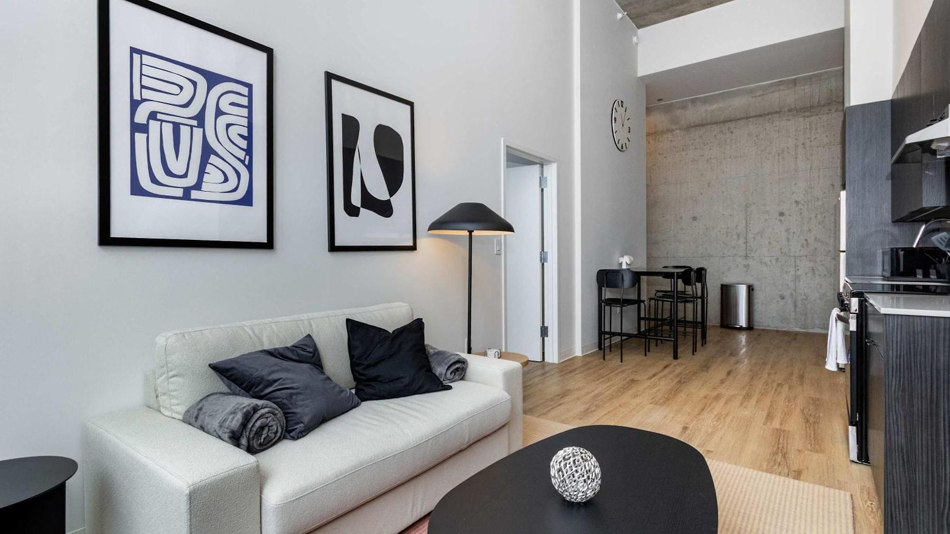 South Loop Rooftop With In And Out Parking 3 Apartment *
