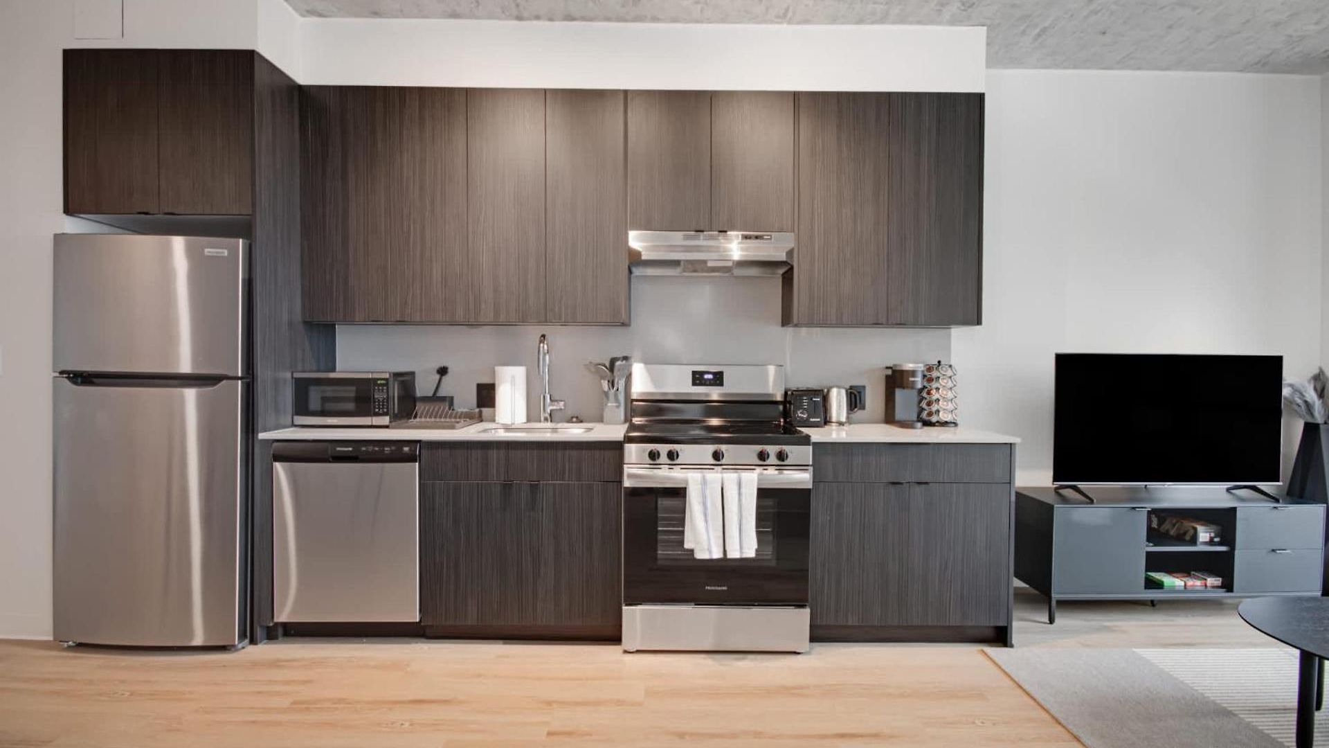 South Loop Rooftop With In & Out Parking 1 Apartment