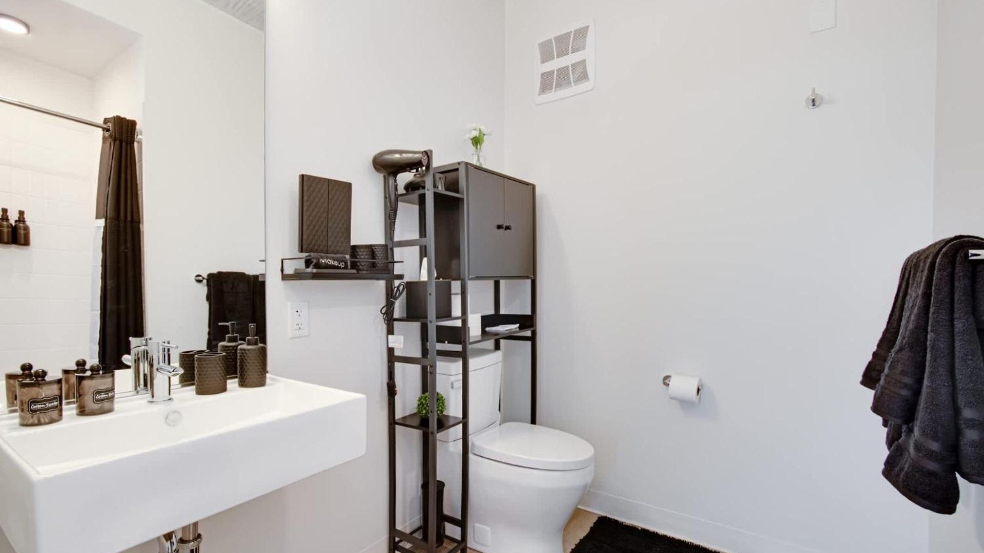 South Loop Rooftop With In & Out Parking 1 *
