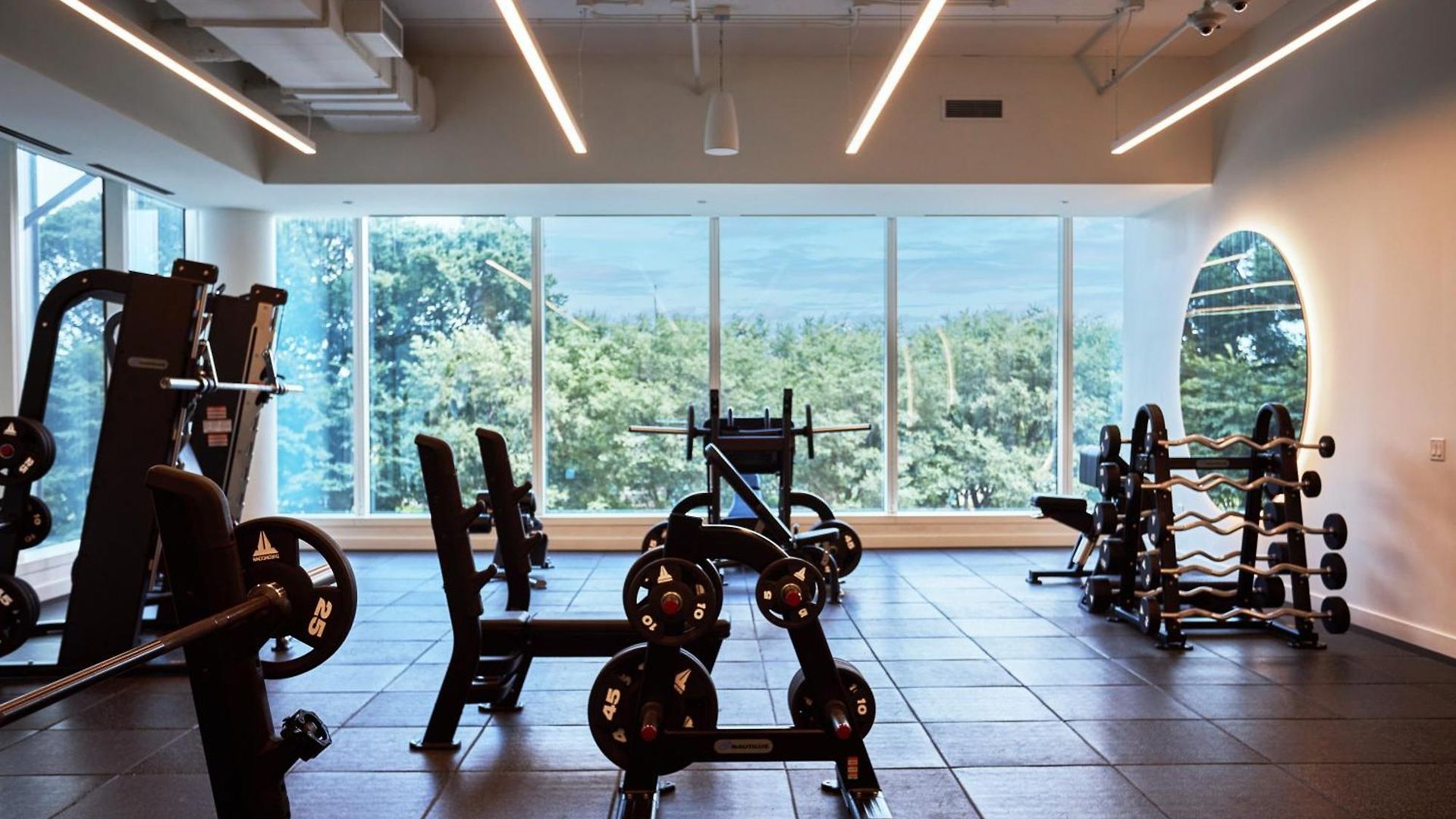 Lux Apts With Views And Amenities *