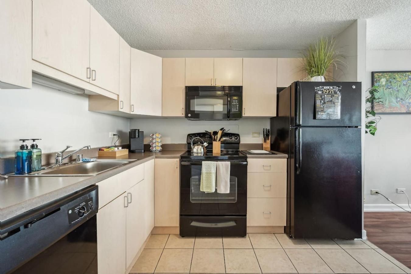 Downtown Views, Mich Ave, Museums 2bd- 2ba #10 Holiday home *