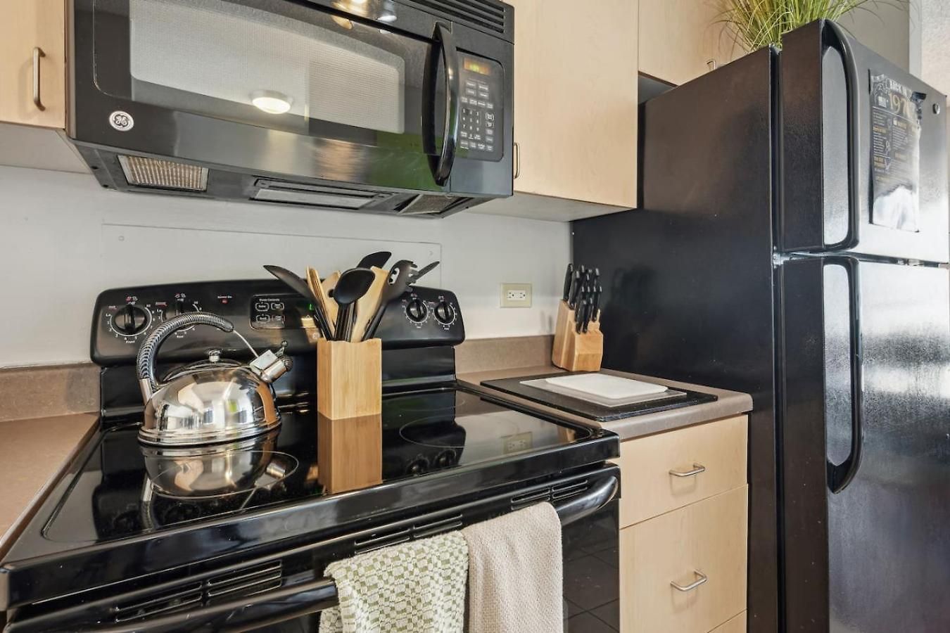 Downtown Views, Mich Ave, Museums 2bd- 2ba #10 Holiday home *