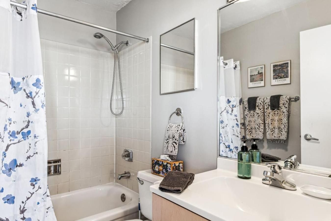 Downtown Mich Ave, Grant Park, Museums 2bd-2ba #20 *