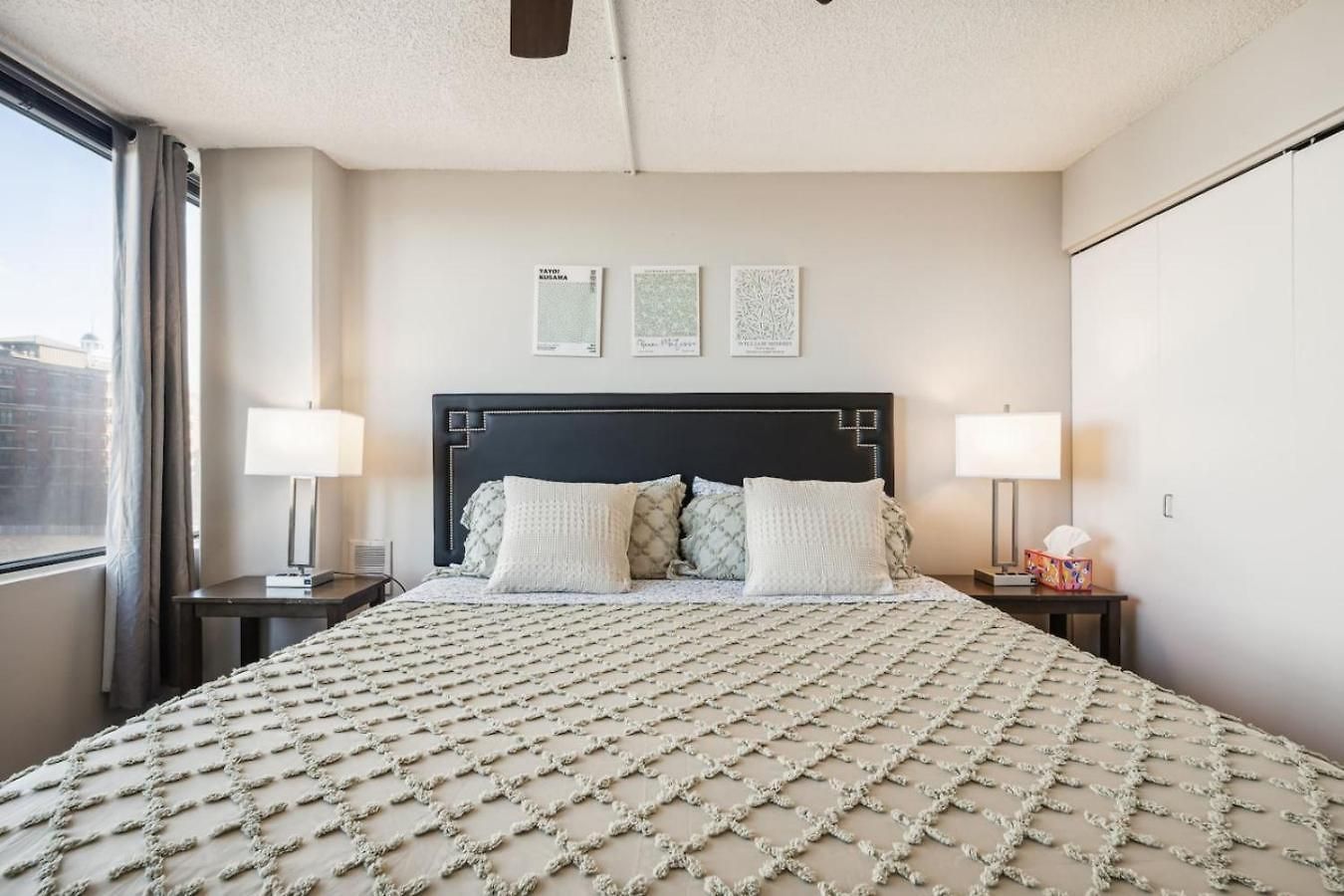 Downtown Views, Mich Ave, Museums 2bd- 2ba #10 Holiday home