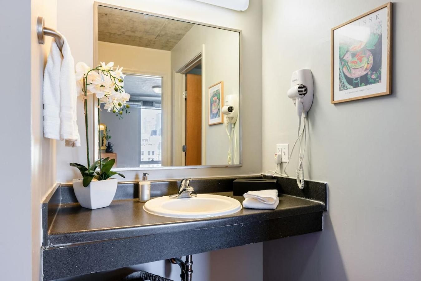 Apartment Downtown 2bd Gym Near Park Museums #6 Chicago