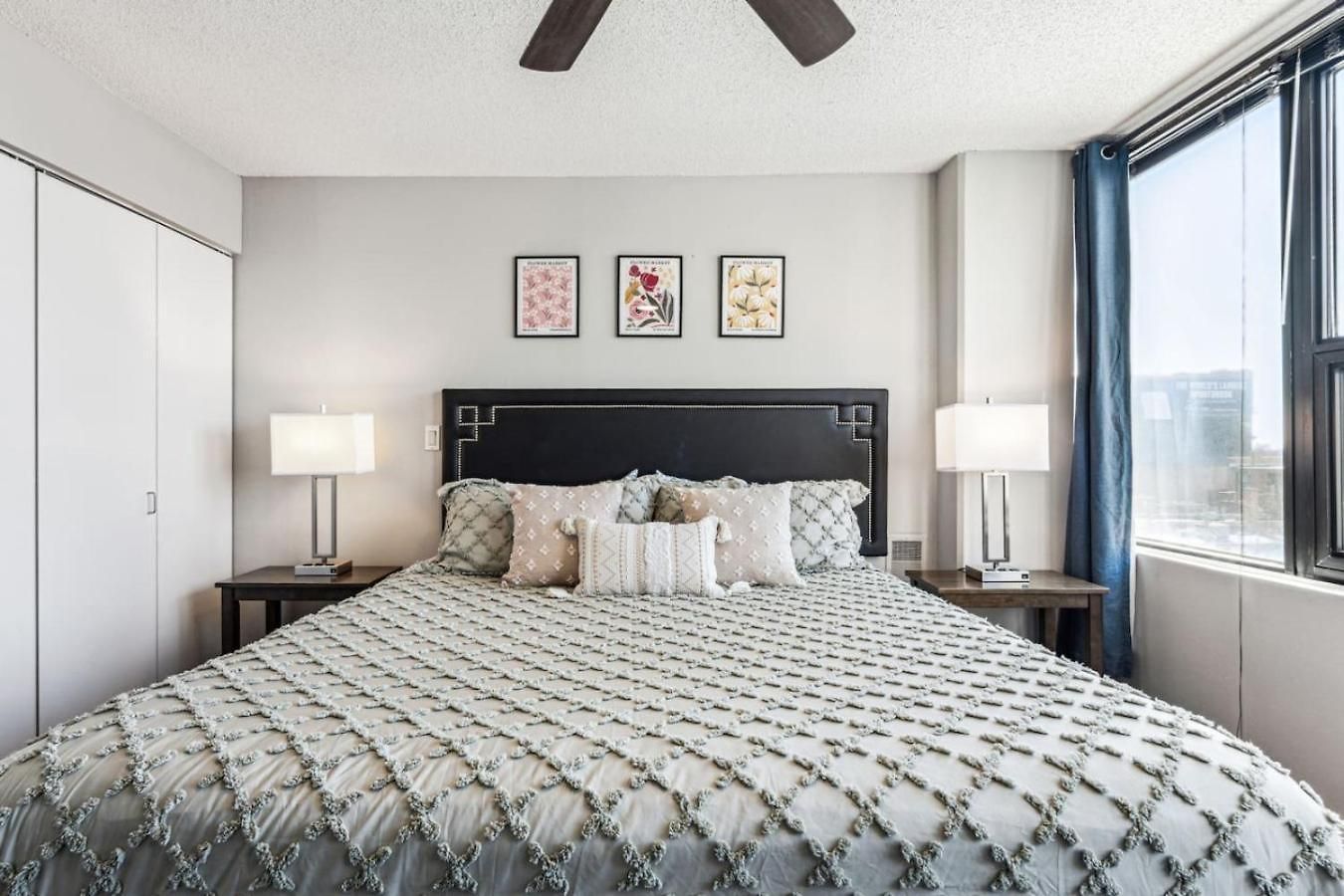 Apartment Mich Ave Downtown, Park, Museums 2bd-2ba #4 *