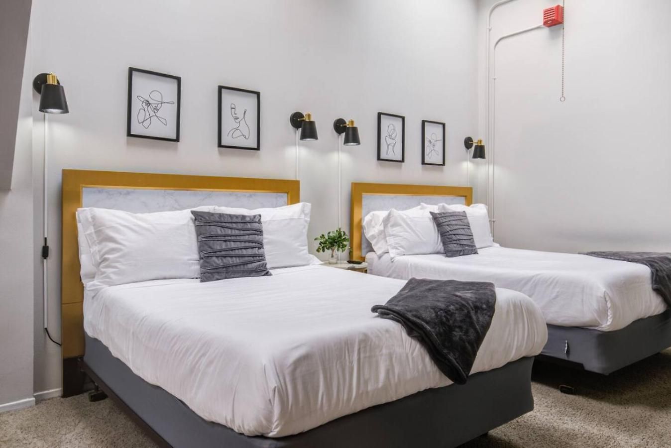 Apartment Huge Downtown Penthouse Park, Museums Gym #4