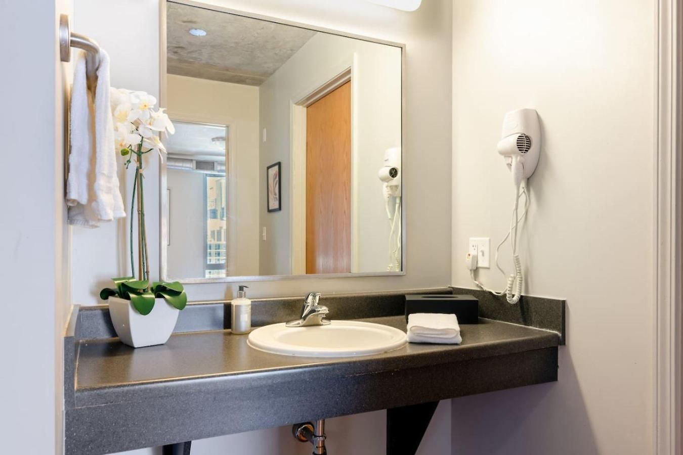 Downtown 2bd Gym Near Park Museums #4 * Chicago