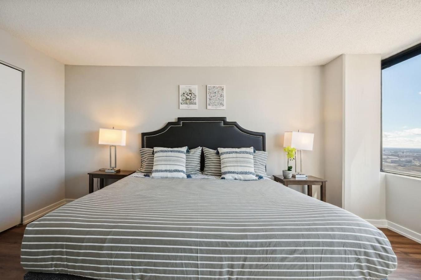 Mich Ave Downtown 2bd, Grant Park Museums #25 Apartment Chicago