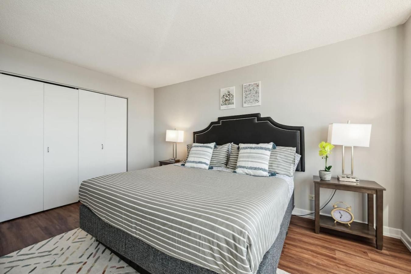 Apartment Mich Ave Downtown 2bd, Grant Park Museums #25 *
