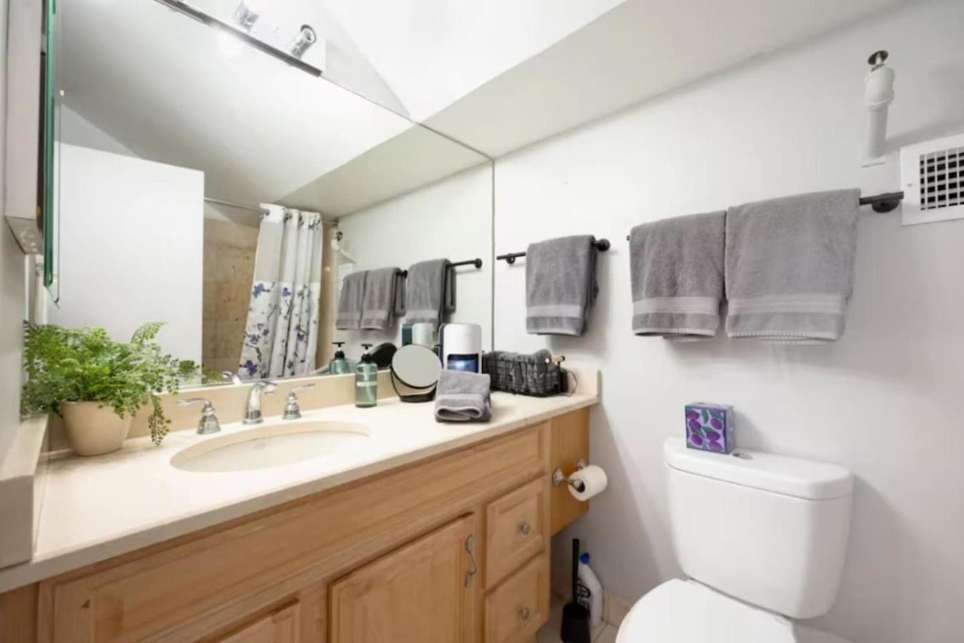Sleep 25 - Huge Downtown Vintage Lofts, Balcony & Gym Apartment Chicago