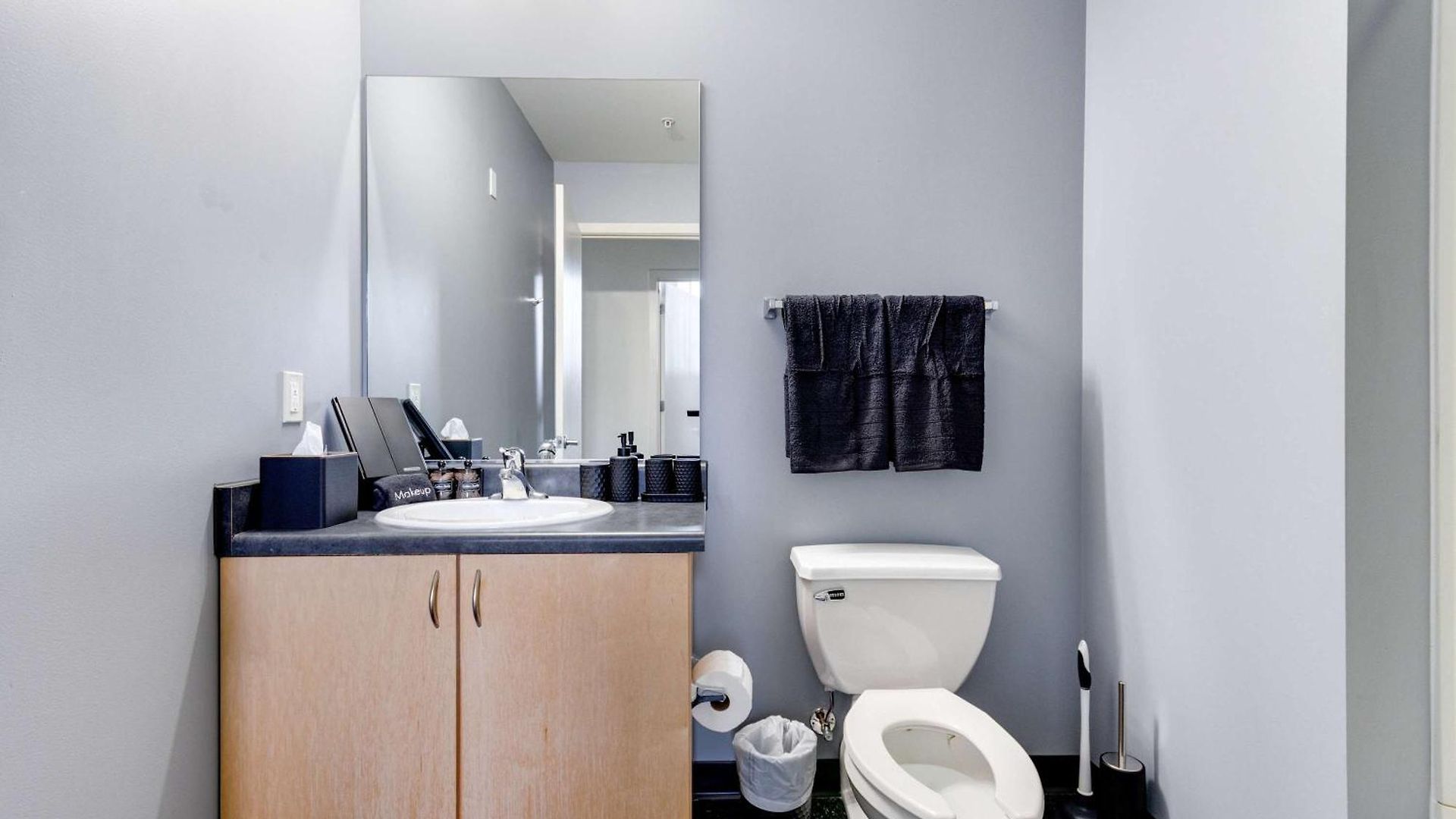 Apartment West Loop - Views With In & Out Parking 2 *