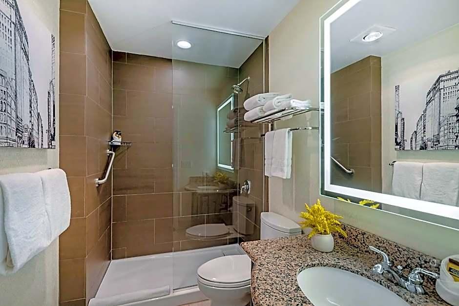 Western Hawthorne Terrace 3* Chicago