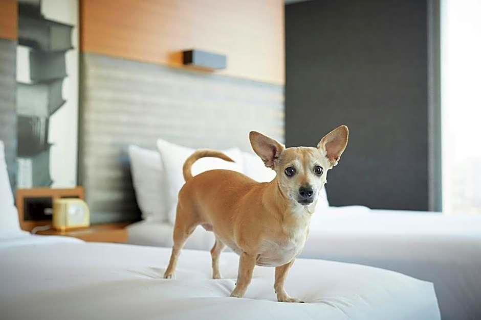 Aloft By Marriott Downtown River North Chicago