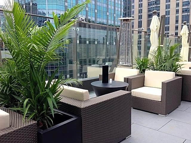 Ivy Boutique (adults Only)