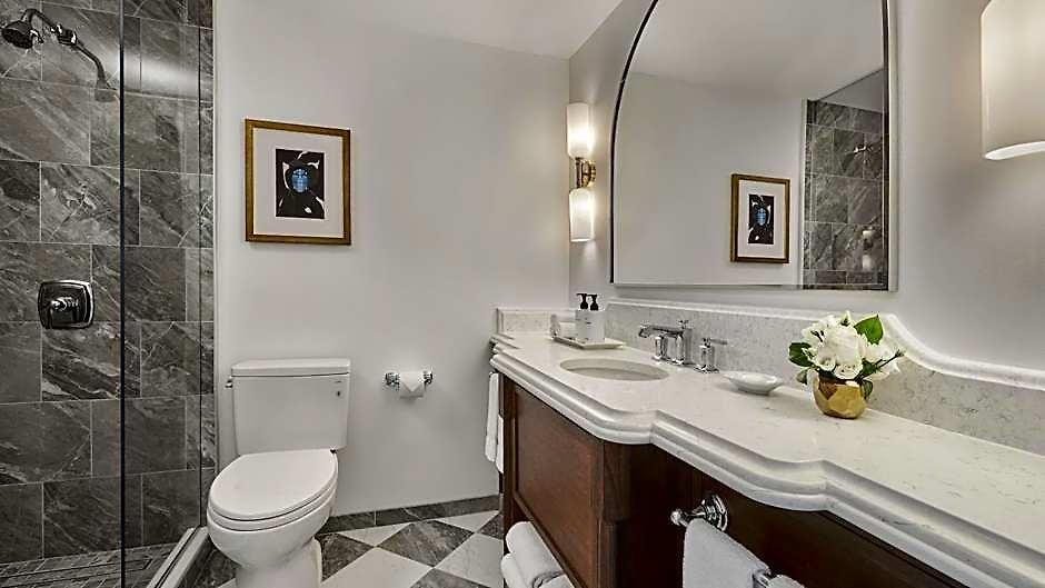 Intercontinental Magnificent Mile By Ihg Hotel 4*