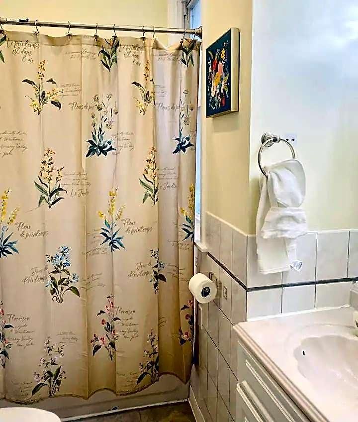 Lincoln Park 3 Bedroom Penthouse *
