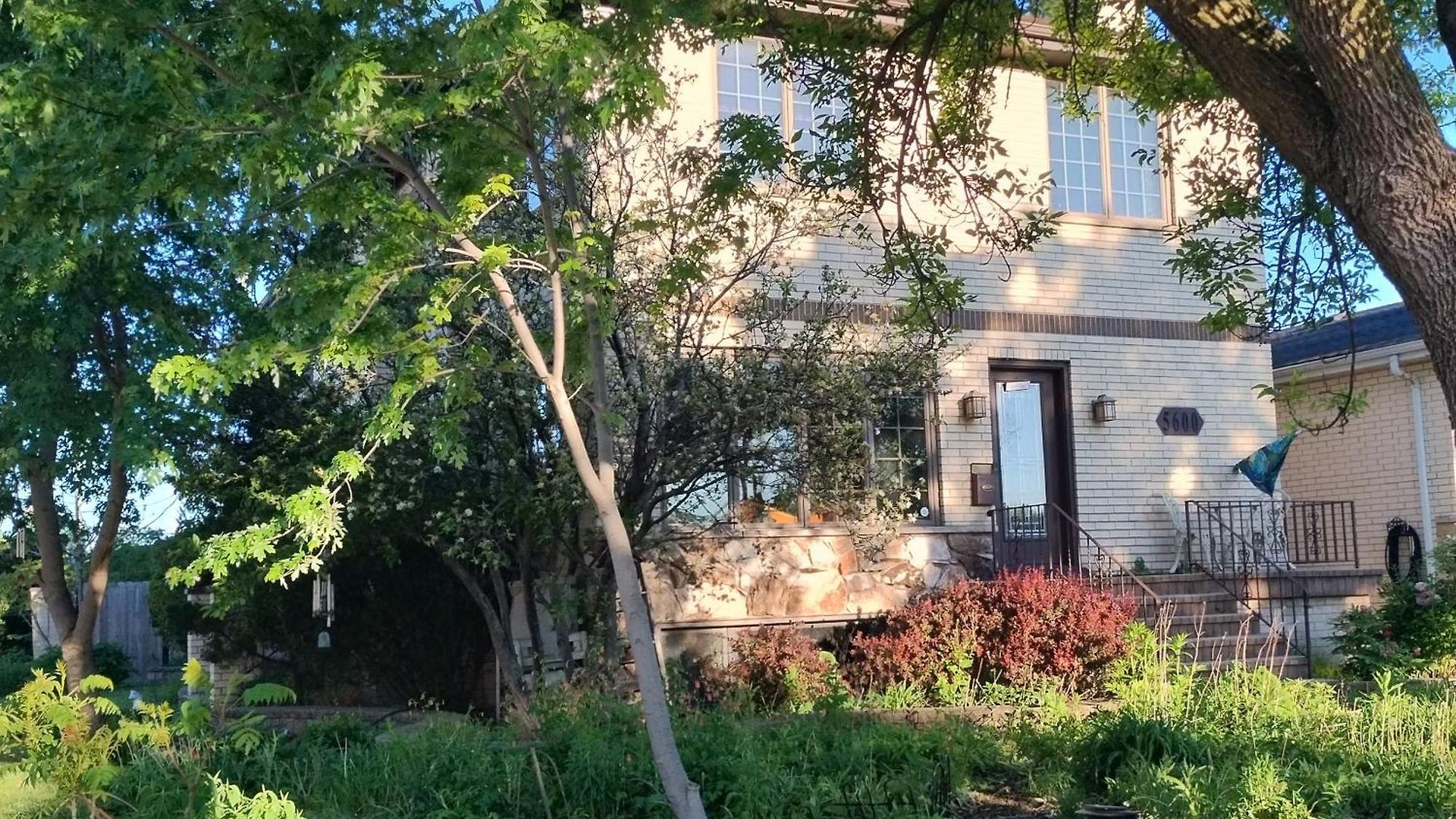 Native Garden At Chicago's Edge With Free Parking Homestay Chicago