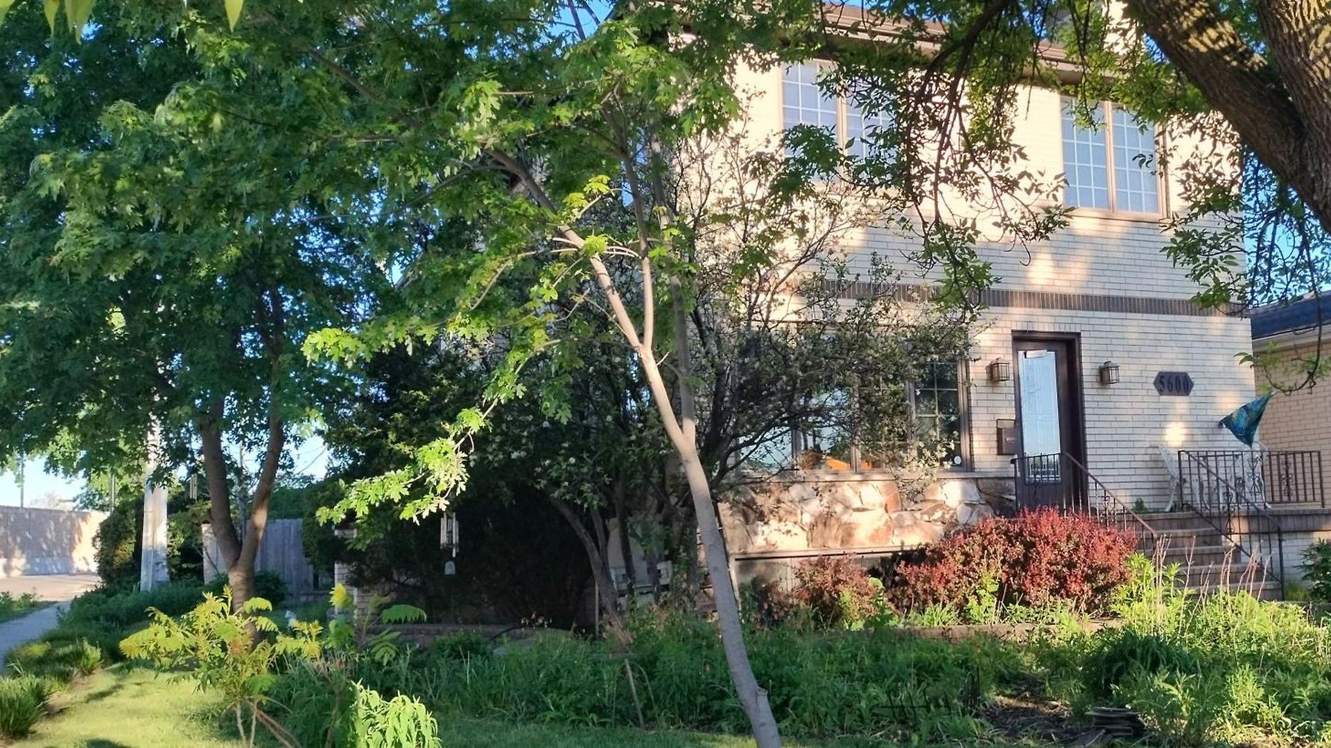 Native Garden At Chicago's Edge With Free Parking Chicago