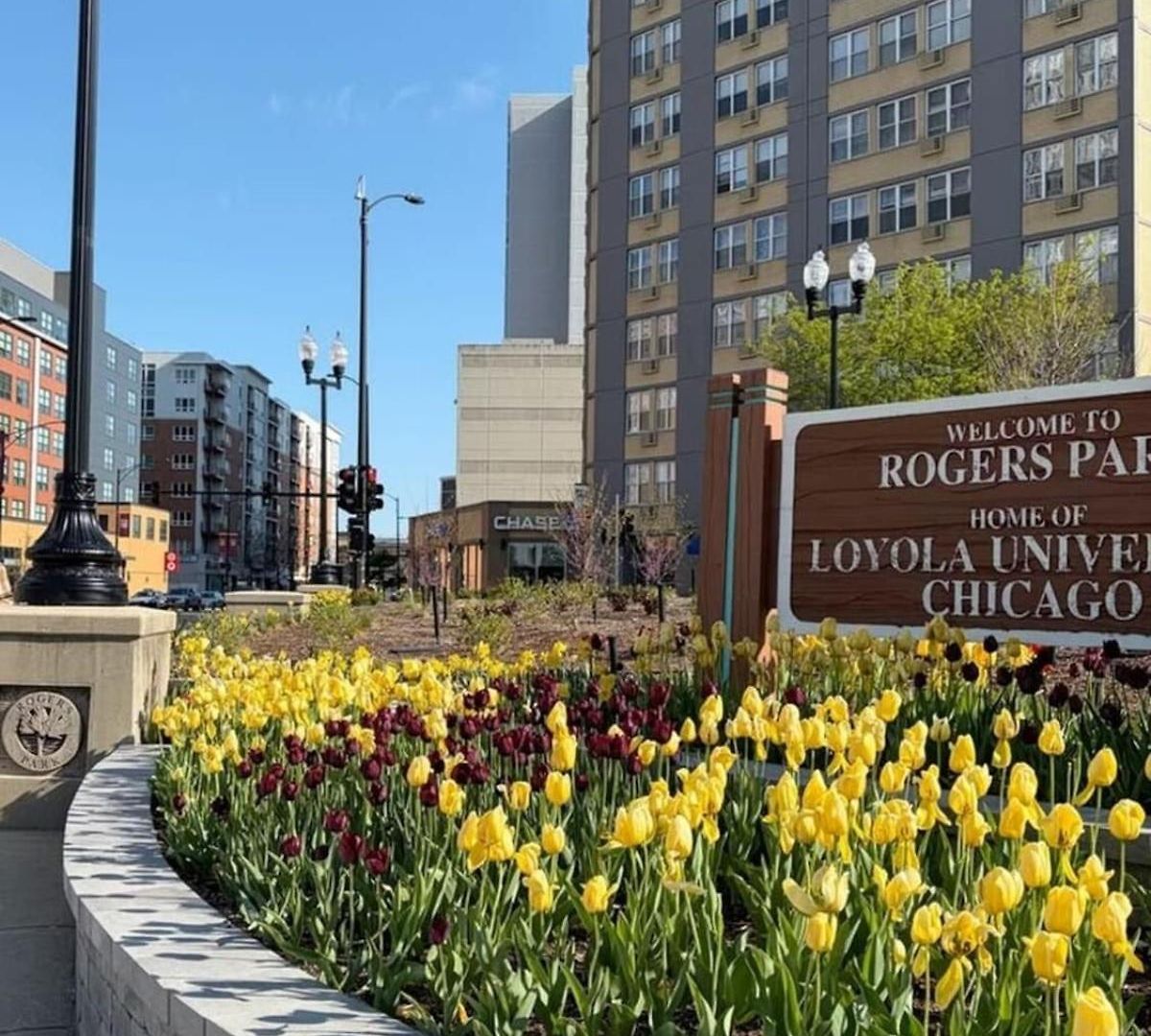 Apartment Cozy 1br Near Loyola University, Fast Wifi, Walk To Dining & Transit