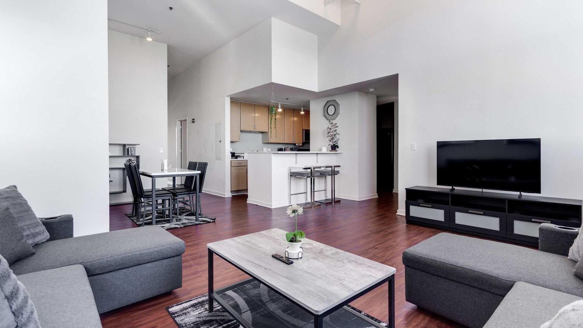 Apartment Downtown With Free In & Out Parking-2 Chicago