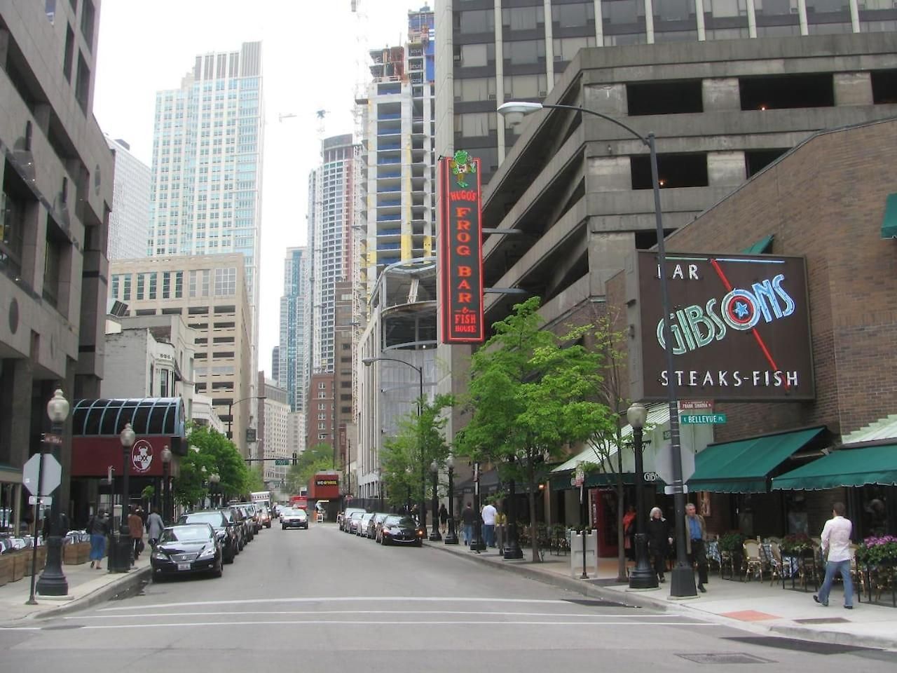 Apartment Downtown Guild Magnificent Mile, Gold Coast #4