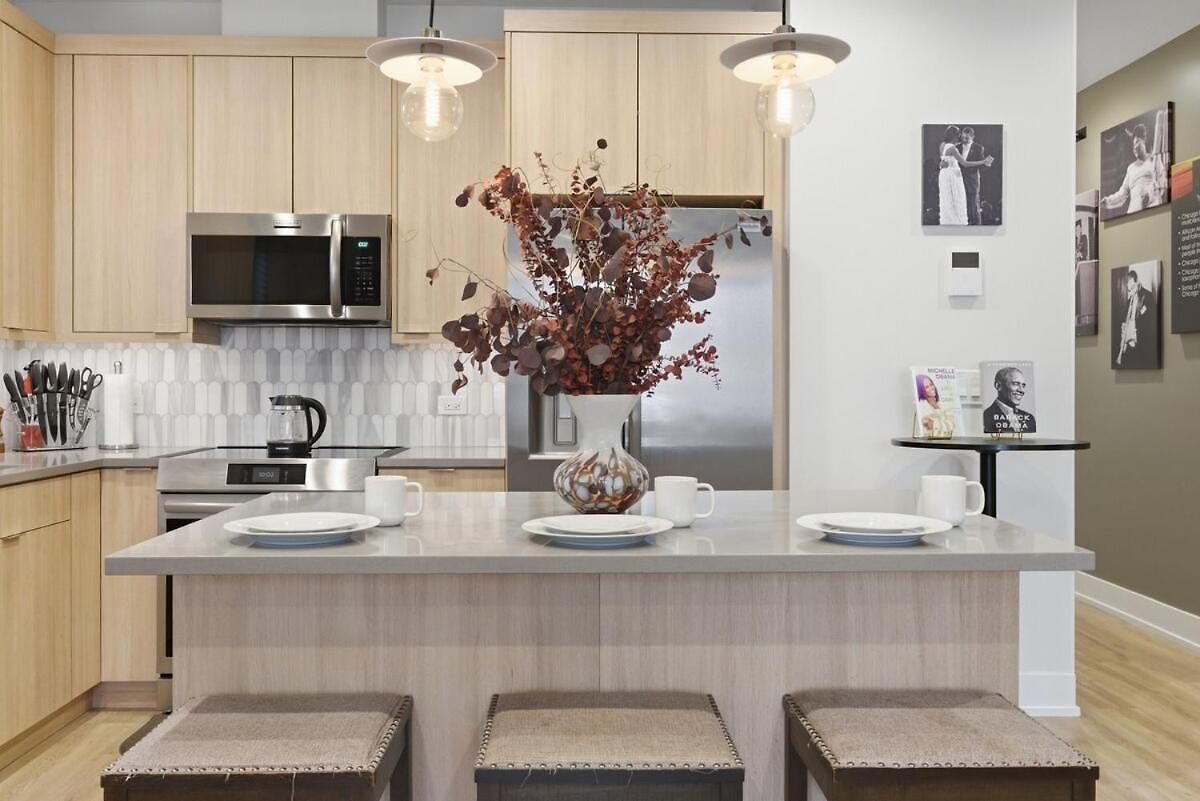 Black Gallery Solar 2br Woodlawn Apartment Chicago