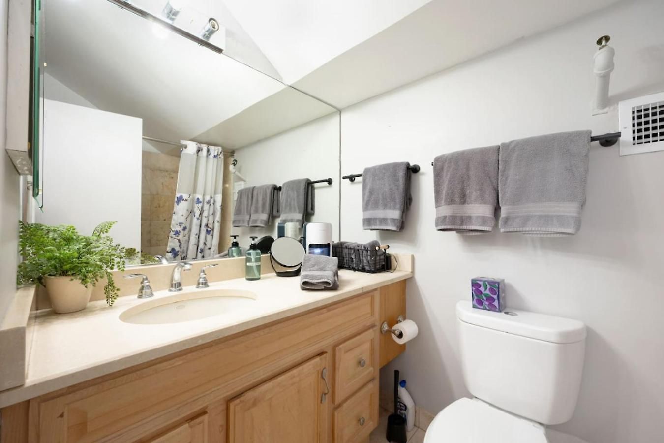 Vintage Downtown Penthouse, Gym & Balcony #6 Apartment Chicago