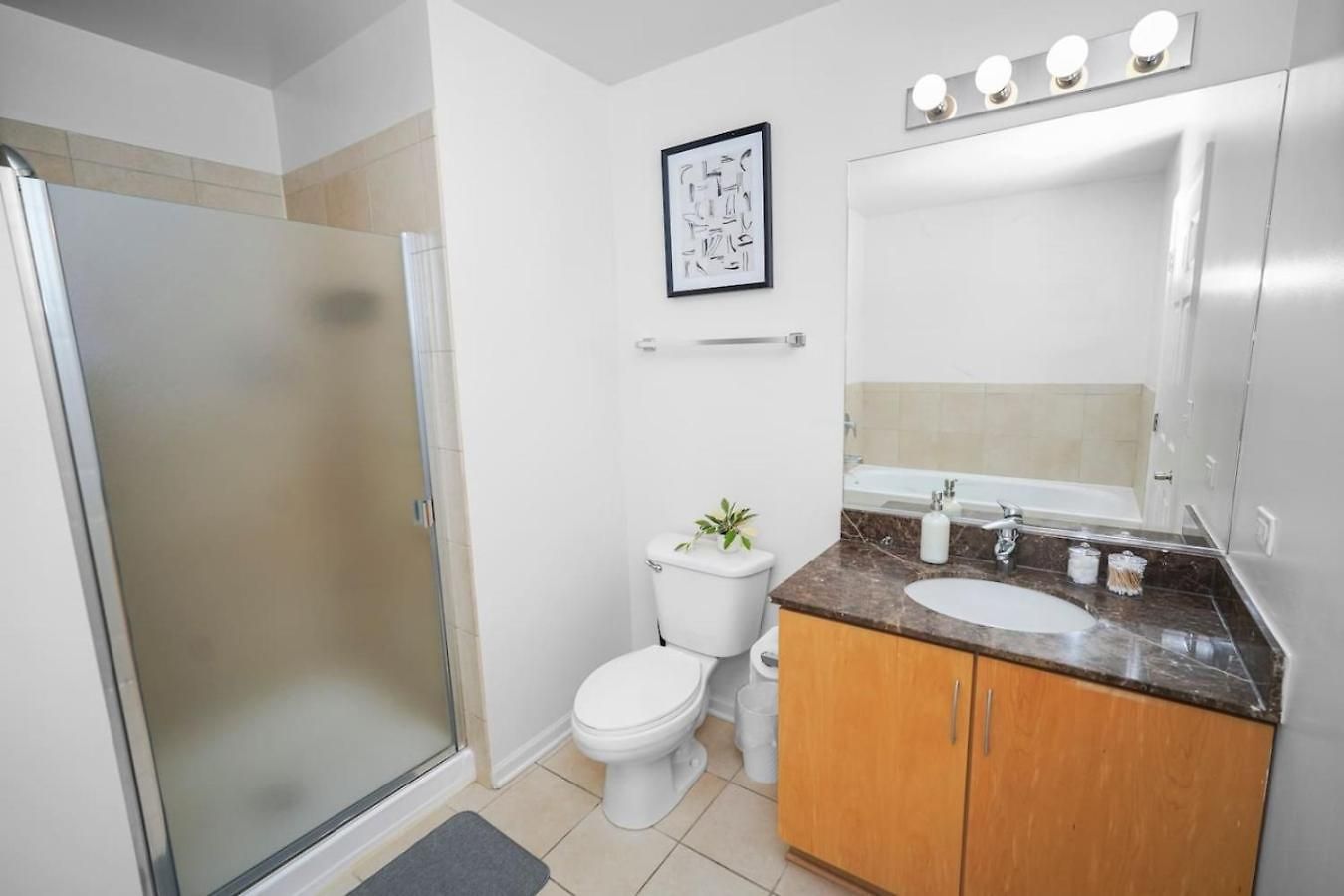 Apartment 29th Floor 2br Grant Park With Balcony, Gym Chicago