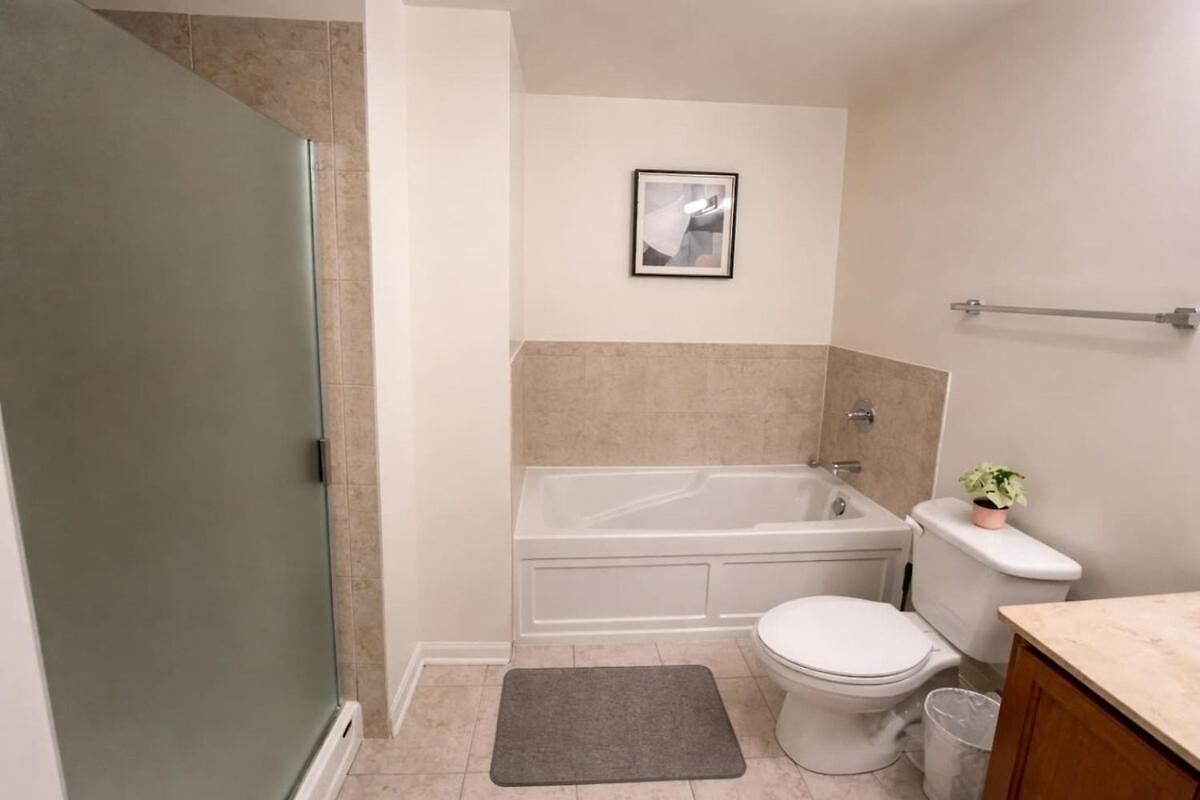 Modern 2br Skyline - 5 Min To Grant Park Apartment Chicago