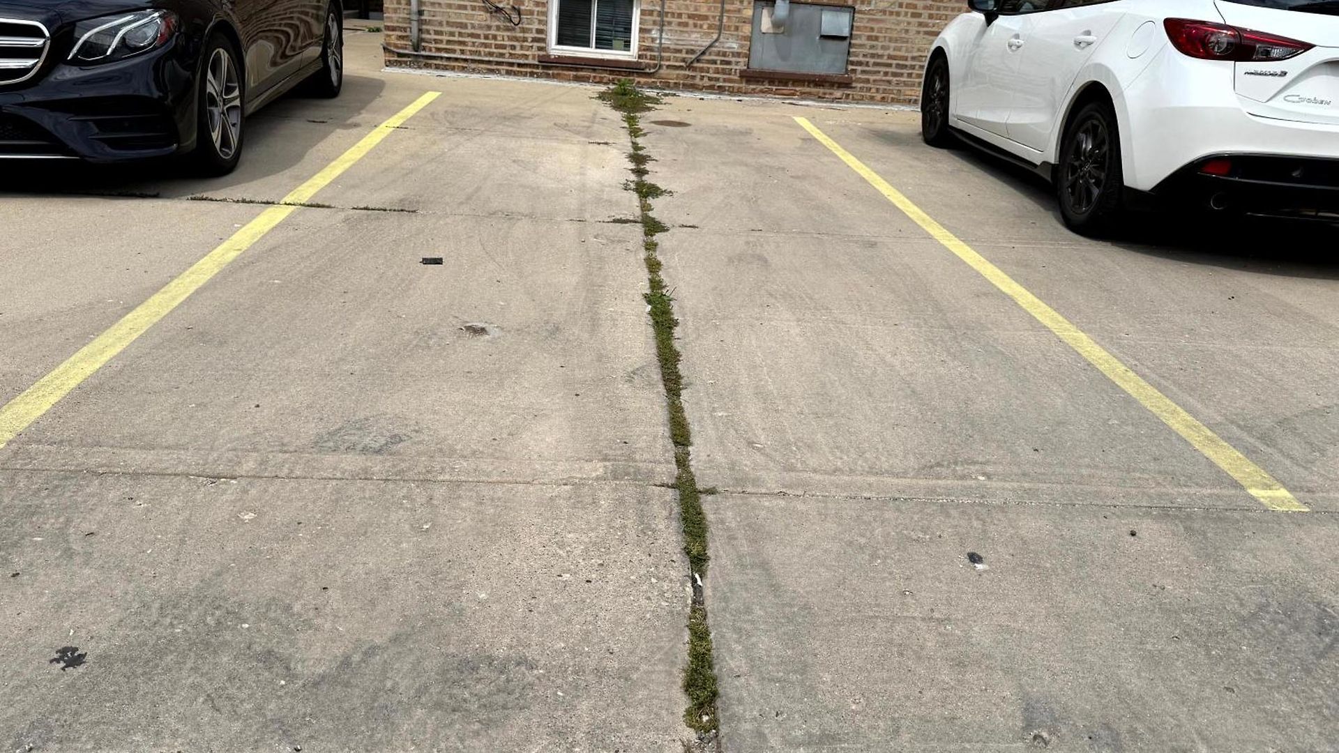1br Free Parking, Near Transit And Dining Apartment Chicago