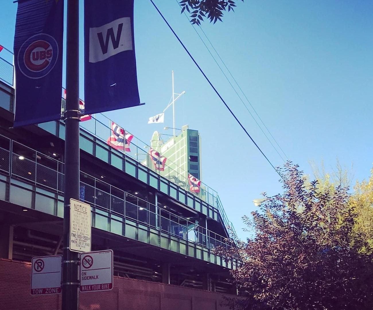 Wrigley - (adults Only) *