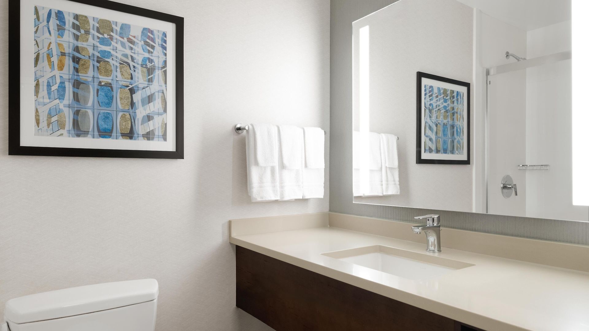 Hotel Hilton Garden Downtown/magnificent Mile 3*