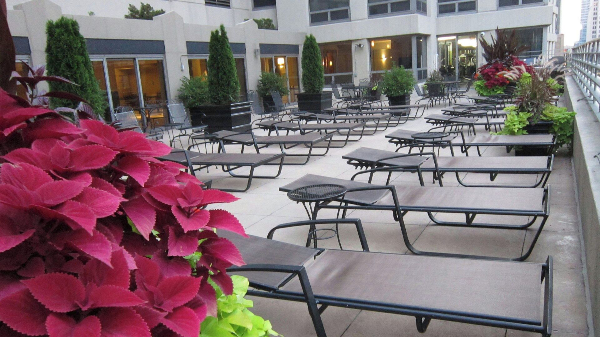 Courtyard By Marriott Downtown/river North 3* Chicago