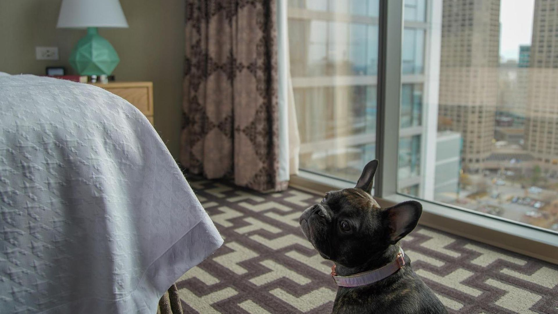 Homewood By Hilton West Loop Fulton Mkt Area 3*