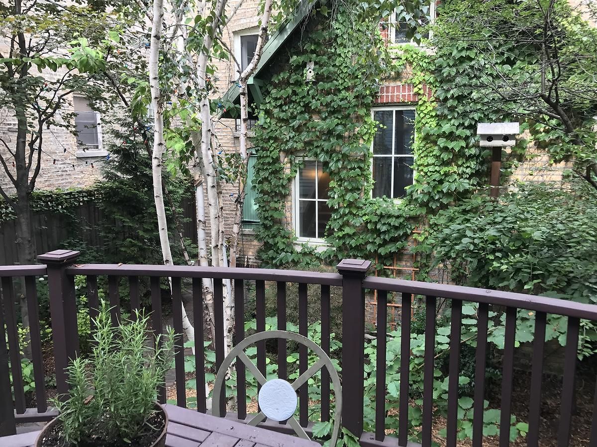 Magnolia 3* Chicago