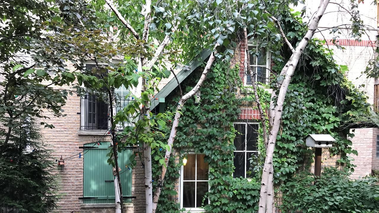 Magnolia Guest house