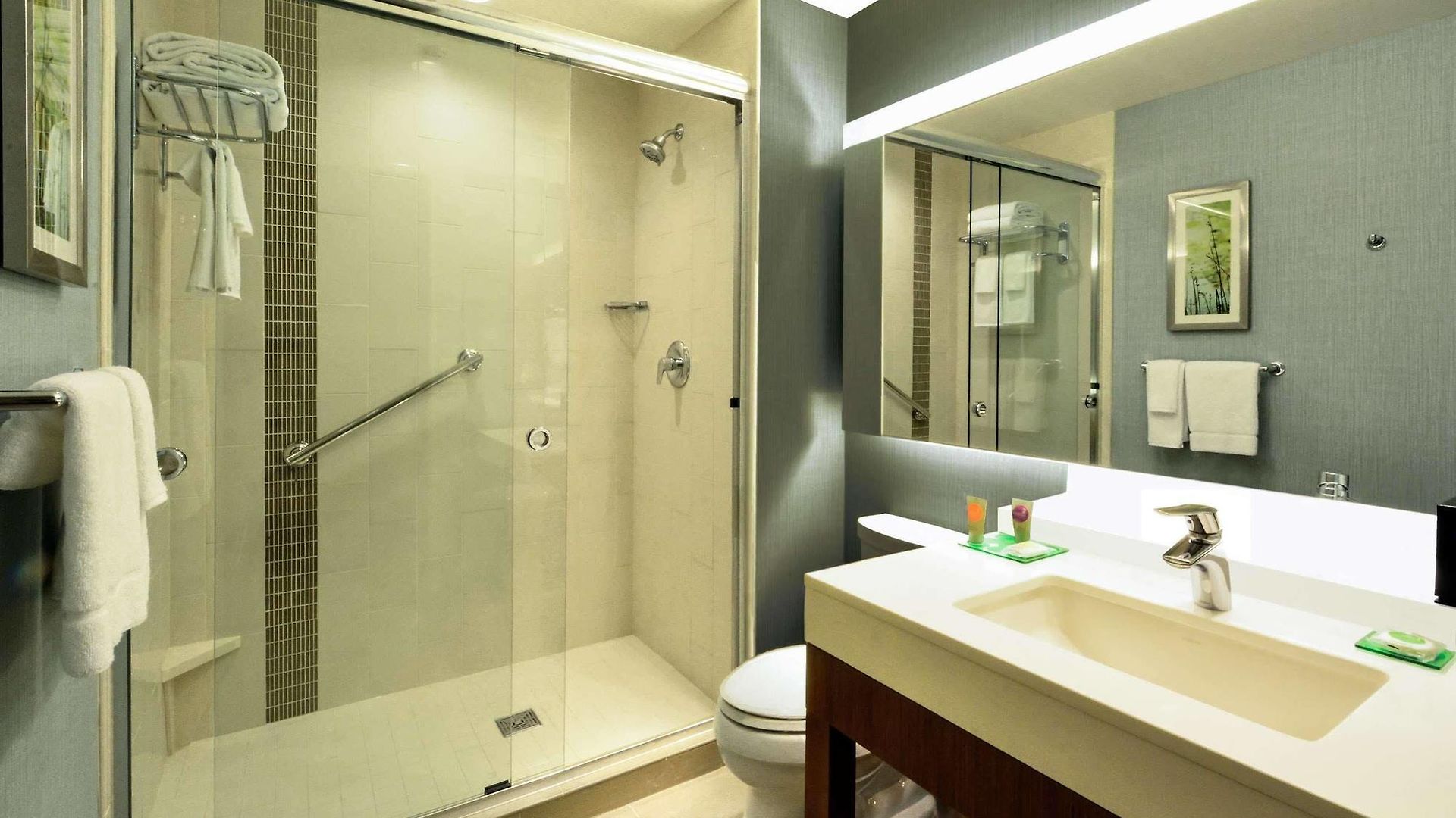 Hyatt Place Chicago/downtown - The Loop Hotel Chicago