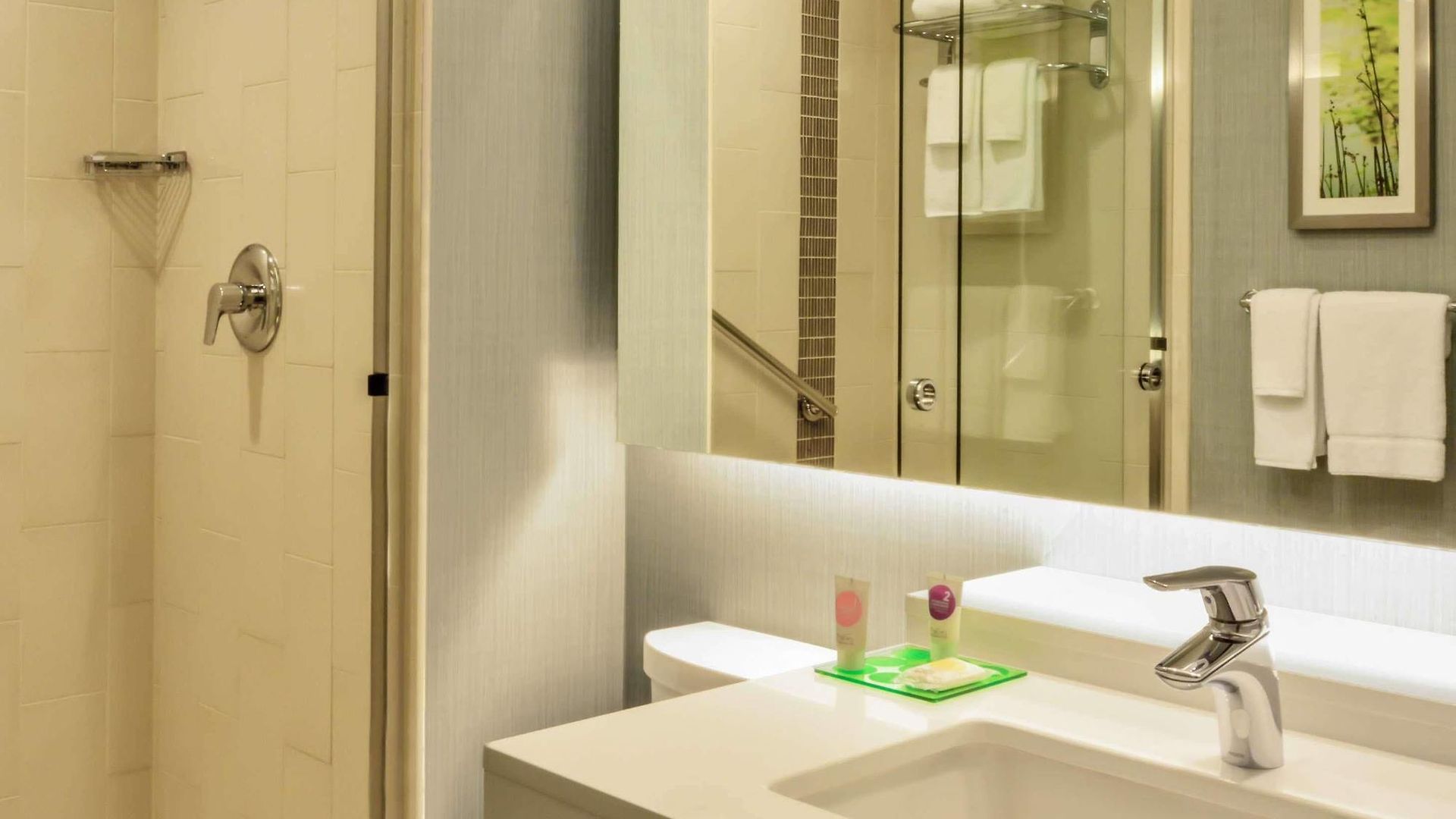 Hyatt Place Chicago/downtown - The Loop Chicago