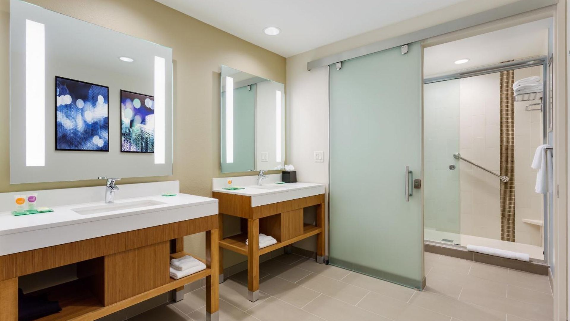 Hotel Hyatt Place Chicago/downtown - The Loop