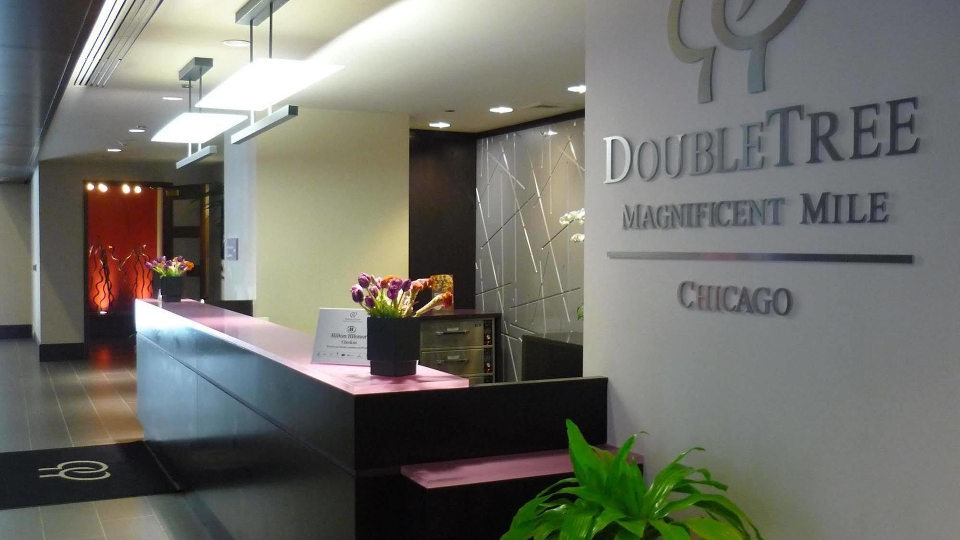 Doubletree By Hilton Magnificent Mile Hotel Chicago