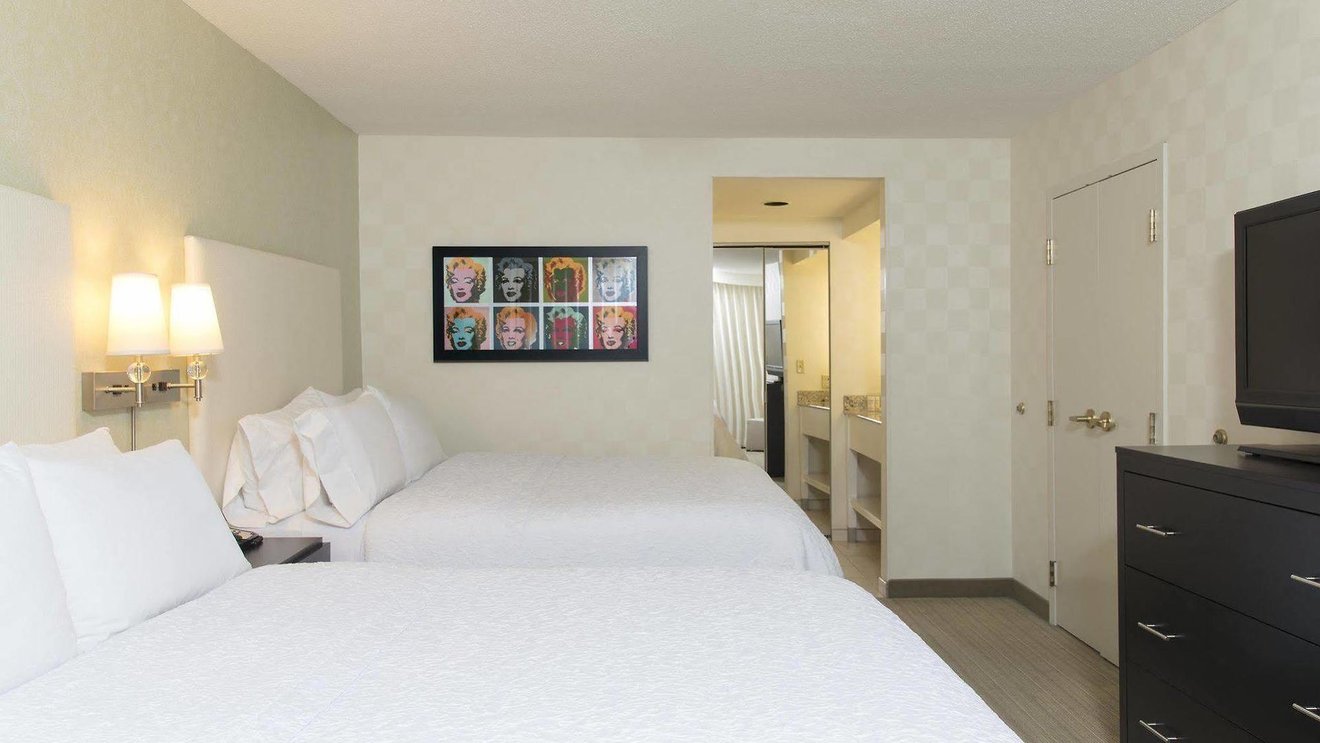 Hampton & Chicago-downtown Hotel