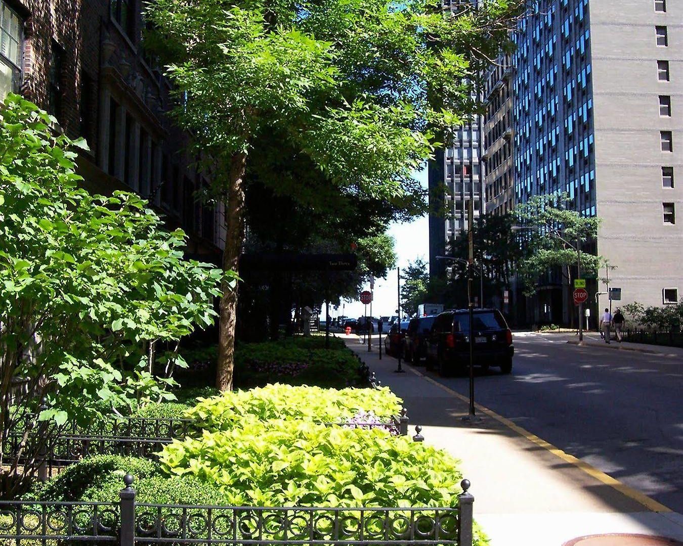 Hotel Dewitt And Chicago
