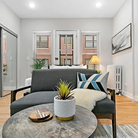 Chic & Updated In East Lakeview - Barry S1 Apartment Chicago