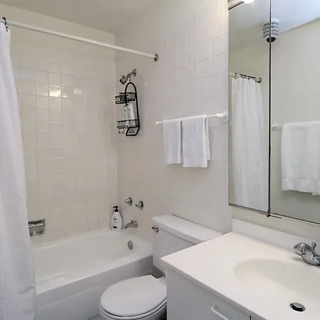 Relaxed Hp 1br With Fast Transit To Uchicago & Dt By Zencity Apartment Chicago
