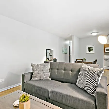 Stunning 1br At Center Of Lakeview - Oakdale 211 Apartment Chicago