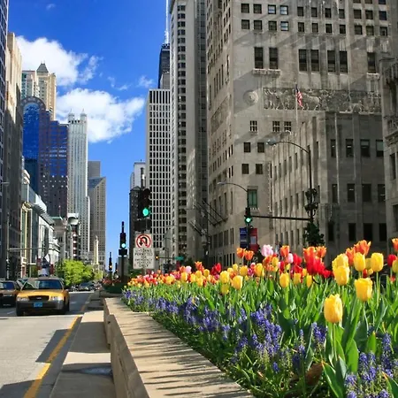 Silversmith Downtown 4* Chicago