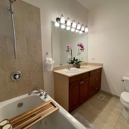 Apartment Amazing 3br 3 Ba In Chicago
